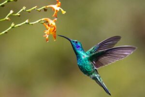 James Wainscoat on Unsplash